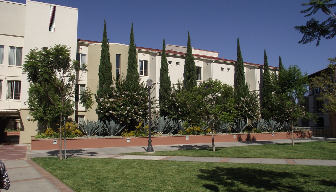 University of California, Лос-Анджелес